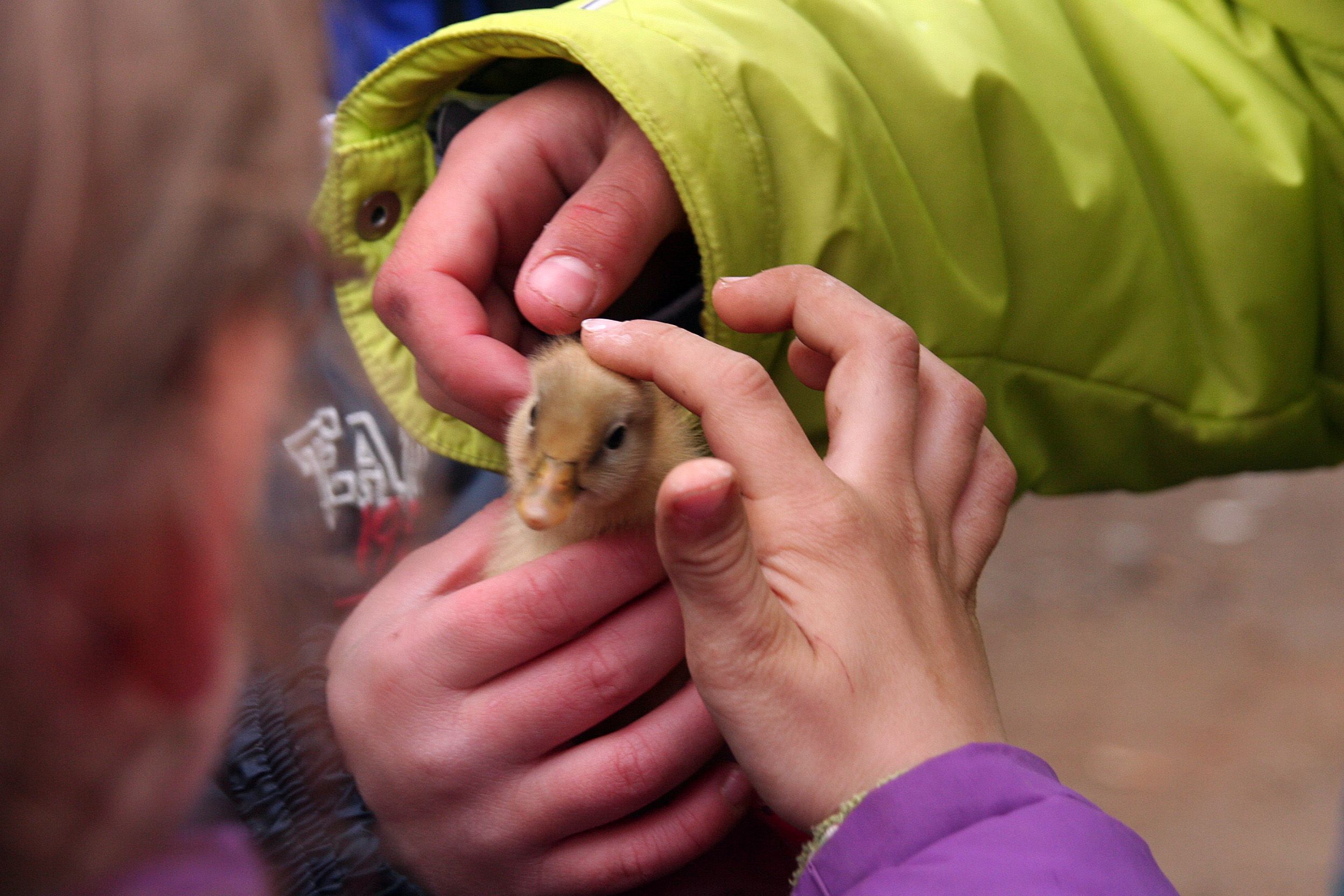 Zur Verstärkung unseres Teams in der ASB Kinder-und Jugendwohngruppe suchen wir eine pädagogische Fachkraft.  