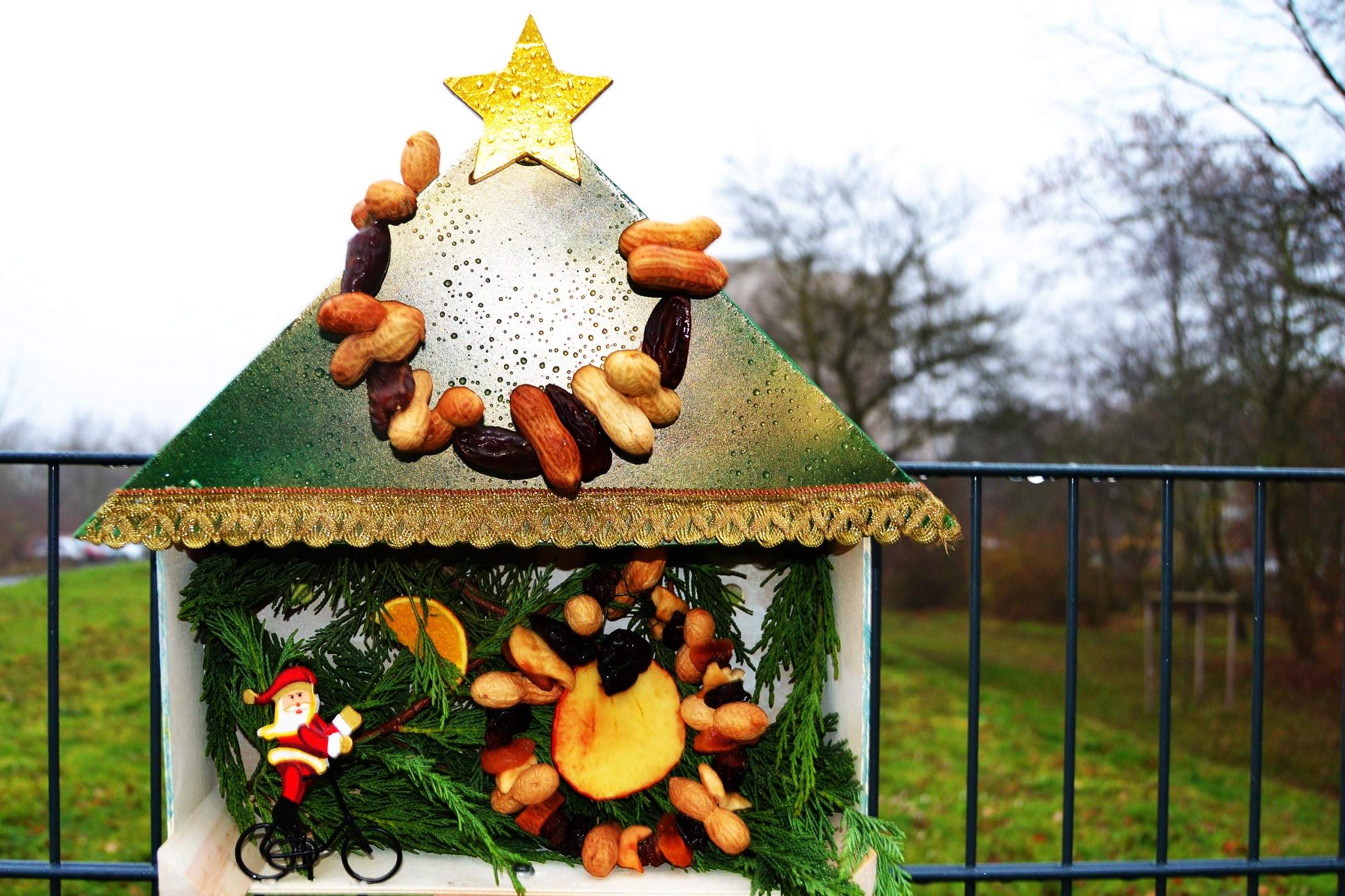 In der ASB-Mutter/Vater-Kind-Einrichtung  wurden mit ganz viel Liebe und Kreativität Futterbäumchen für die Vögel gebastelt.