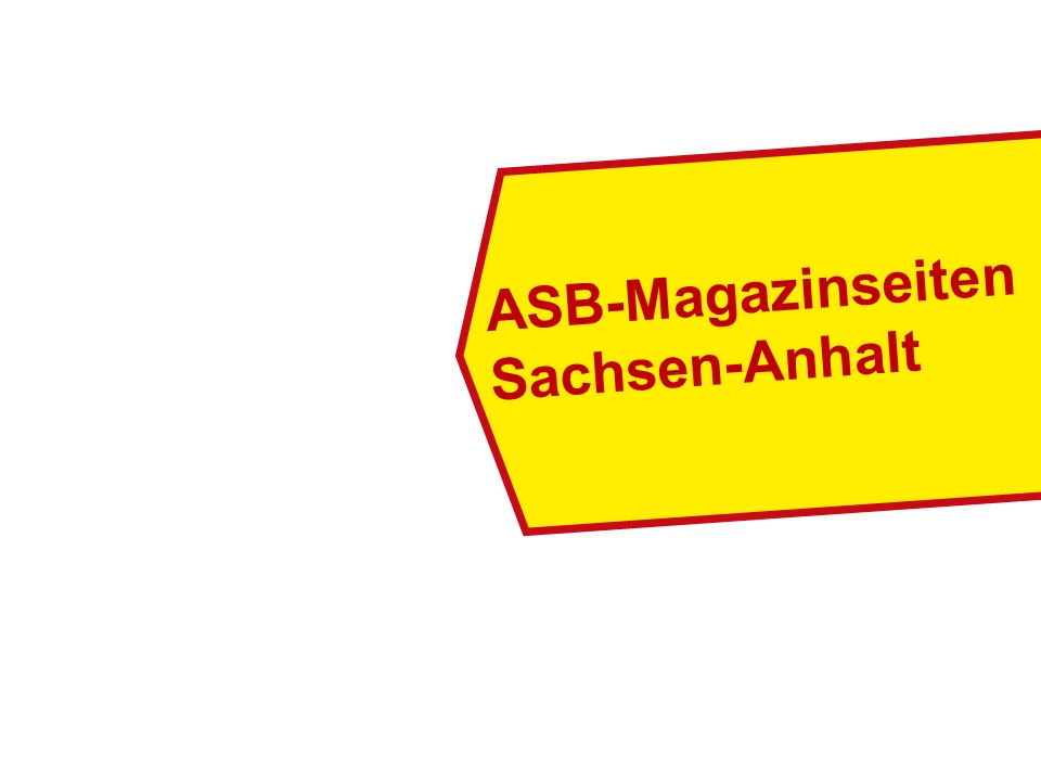 PP Magazinseiten.jpg