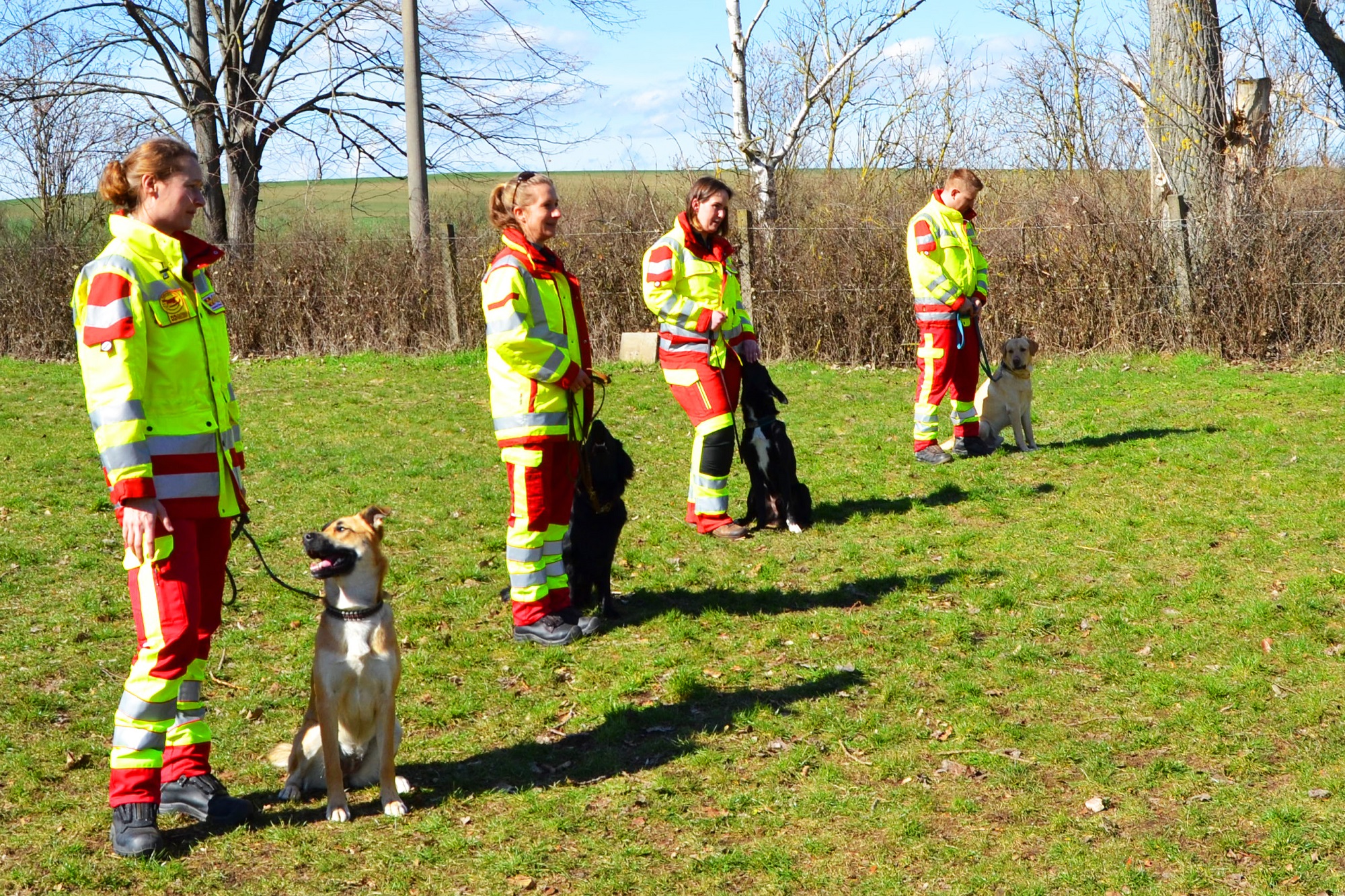 Kira, Gemma, Totte und Charly haben den Wesenstest für künftige ASB-Superspürnasen bravourös gemeistert.