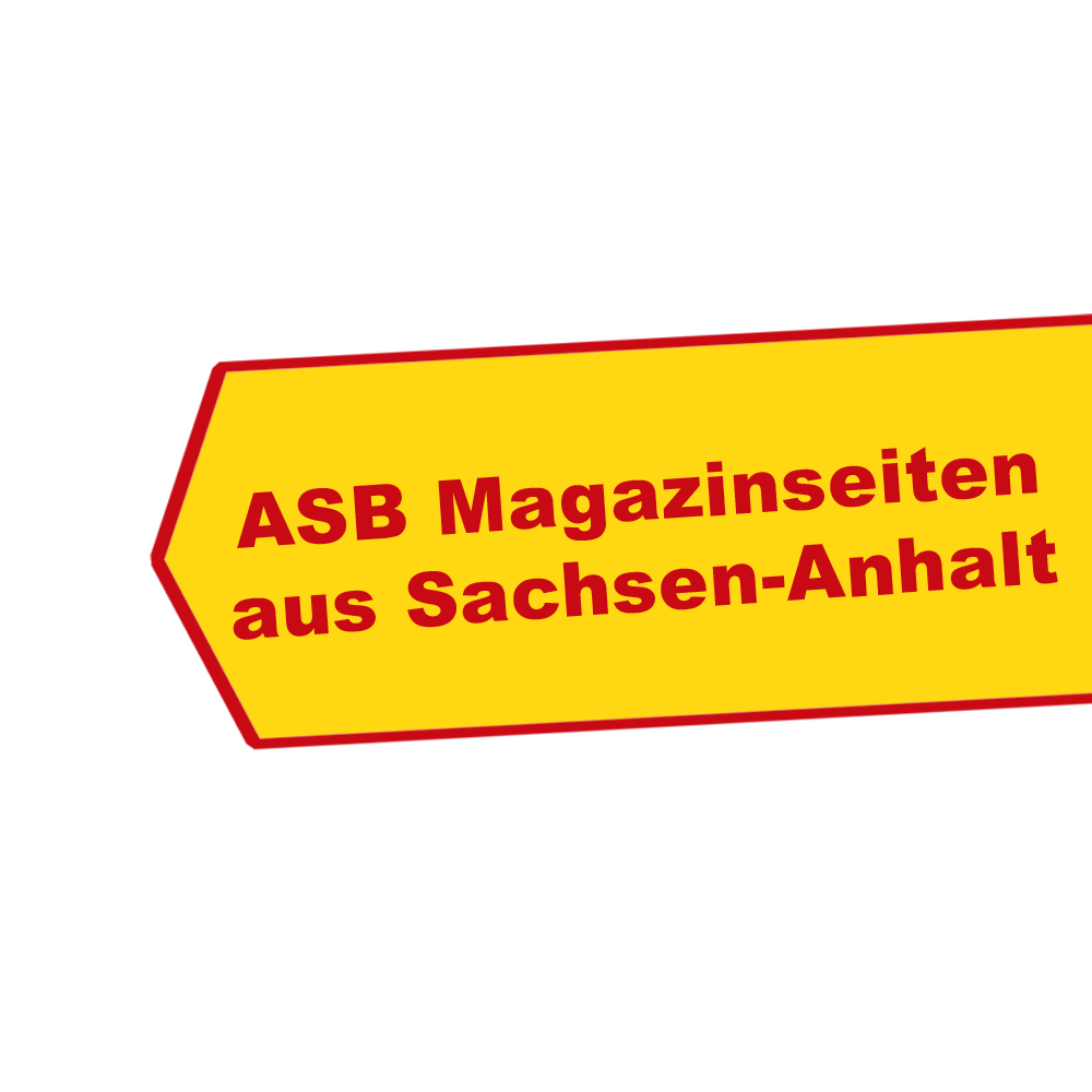 Magazinseiten_Kopie.jpg