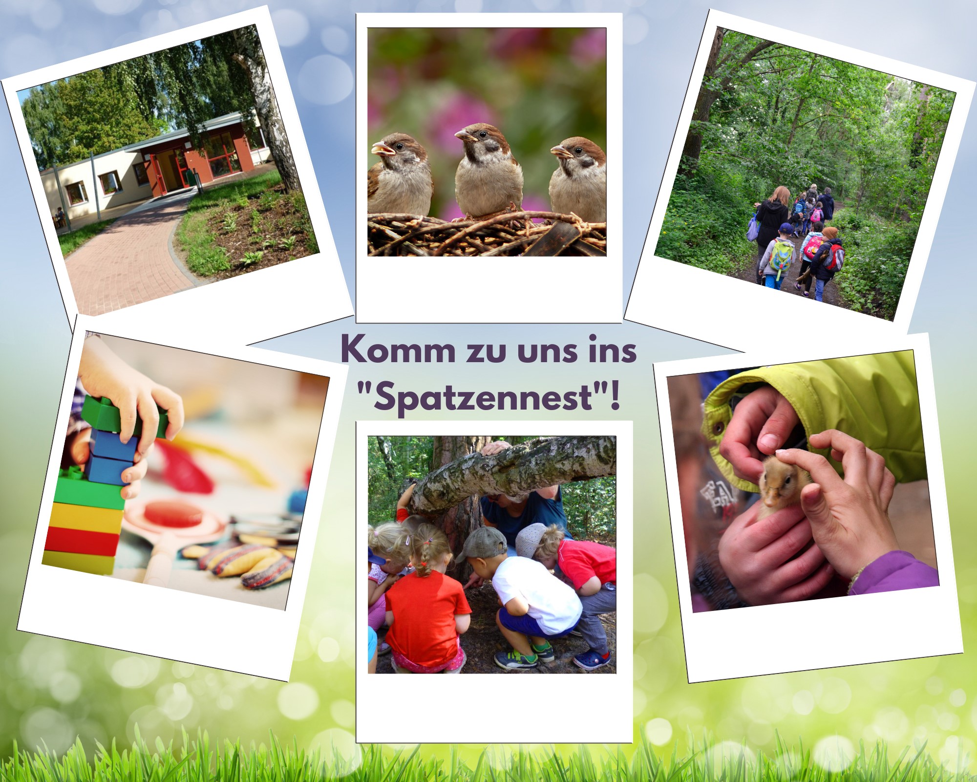 Colorful Spring Mood Board Photo Collage.jpg