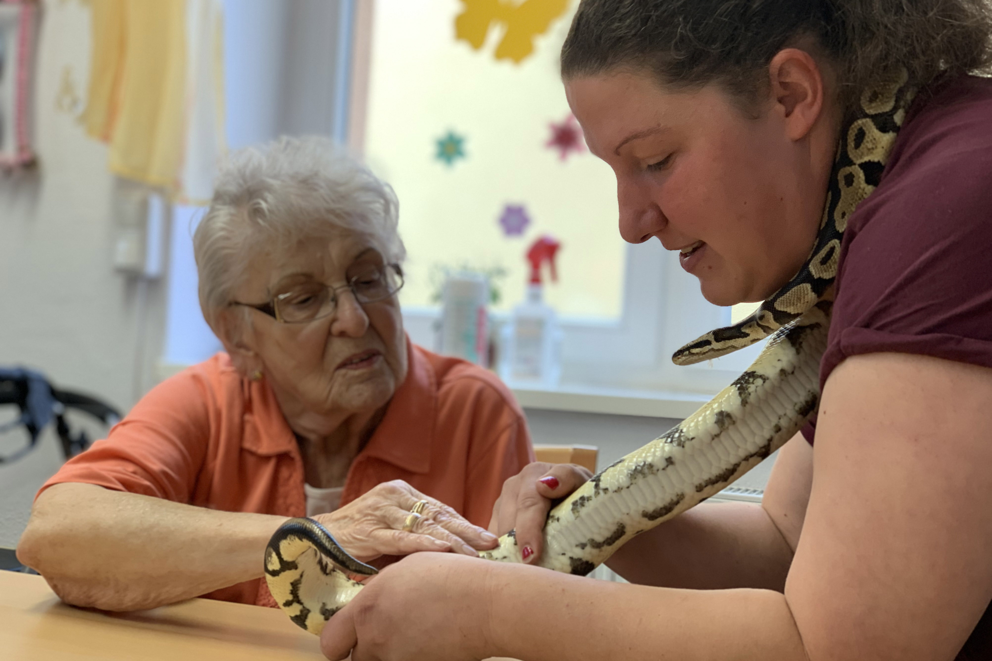 Kleines Tier, großes Glück – Lachen und Lebensfreude im Lindenbergsweg in Thale durch tiergestützte Therapie in der Altenpflege. 