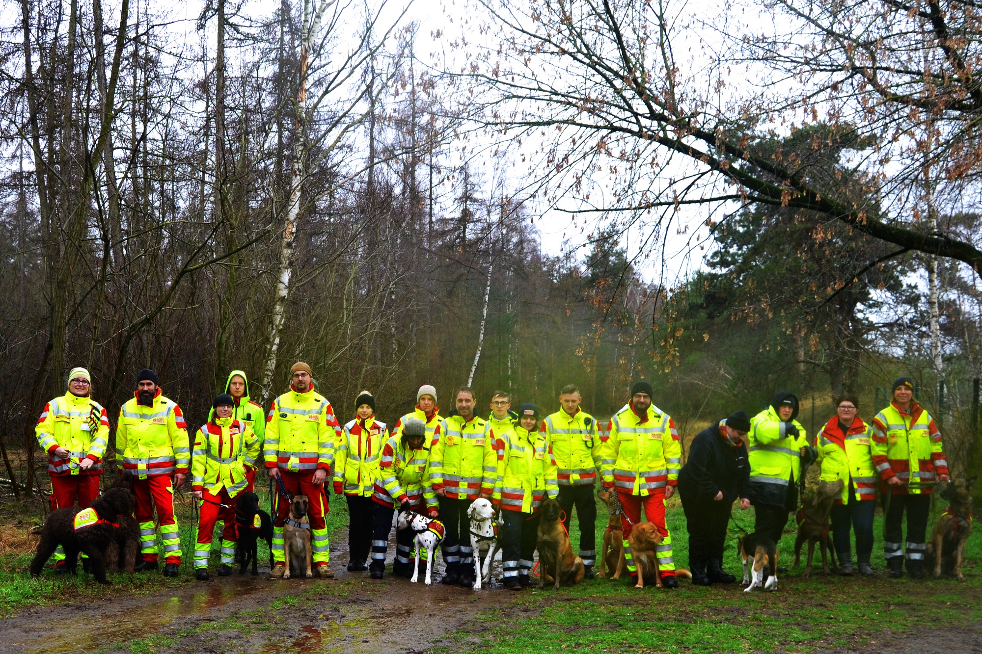 Erstes gemeinsames Training der ASB-Supernasen und ihrer Hunderettungsführer in Wald und Flur bei strömendem Regen.