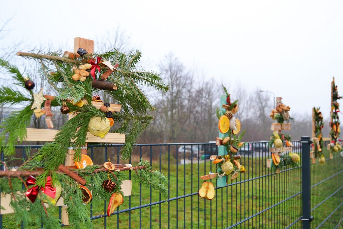 Weihnachtsbäumchen für die Vögel.jpg