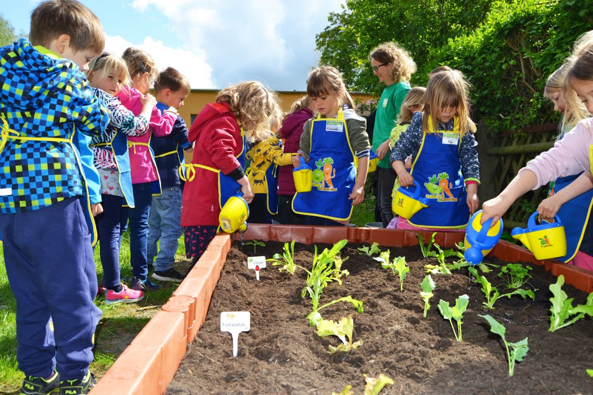 Radieschen, Möhrchen und Kohlrabi sind durstig.jpg