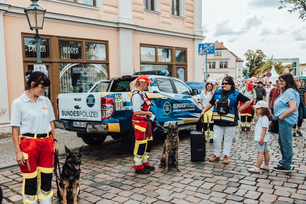Die Rettungshunde des ASB-Sachsen-Anhalt