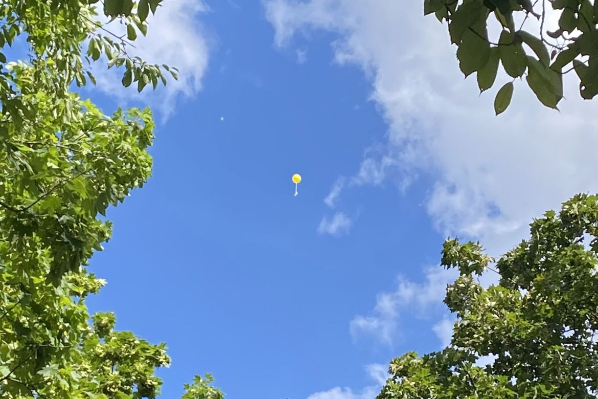 Luftballon.jpg