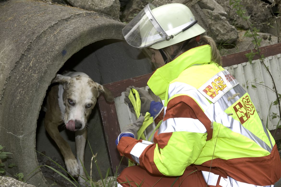 10_Rettung-hunde_2.jpg