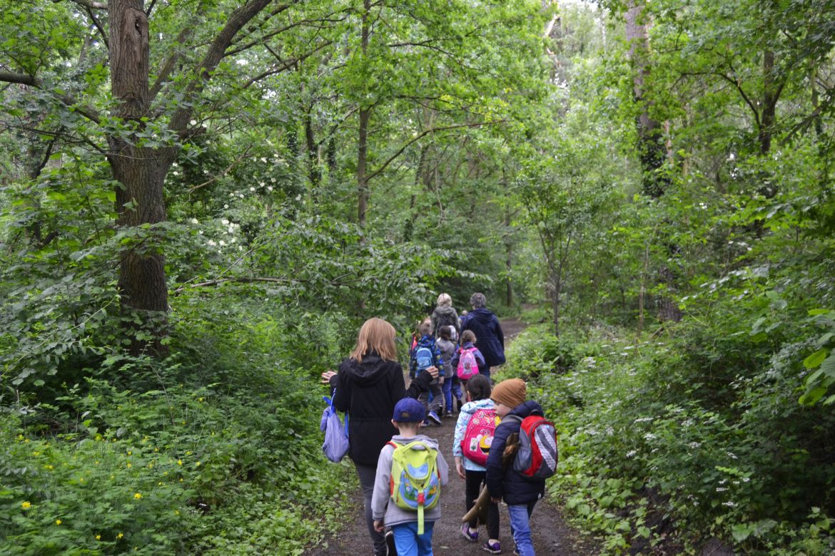 Die Dölauer heide wird oft genutzt.jpg