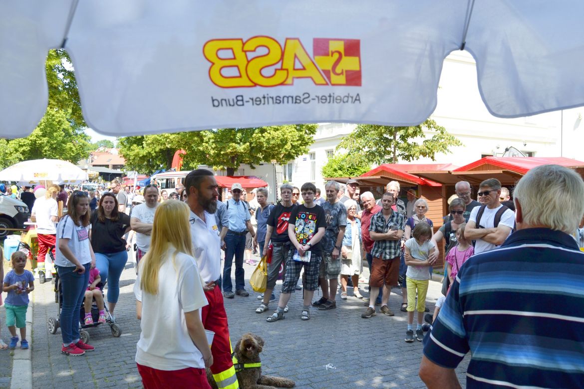 Jens und sein Labradoodle Fossy sorgten regelmäßig für Action.kk.jpg